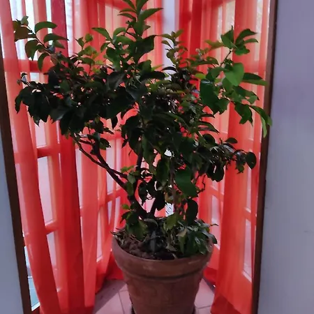 La Vela ホテル 3*